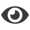 Login Eye Icon